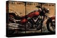 Stretched Canvas Print