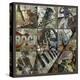 Stretched Canvas Print