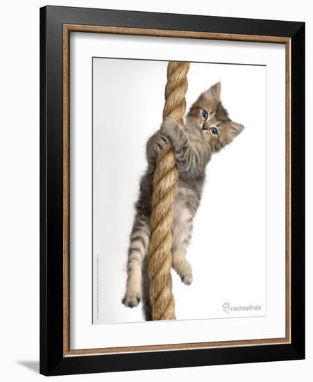 Eric-Rachael Hale-Framed Art Print