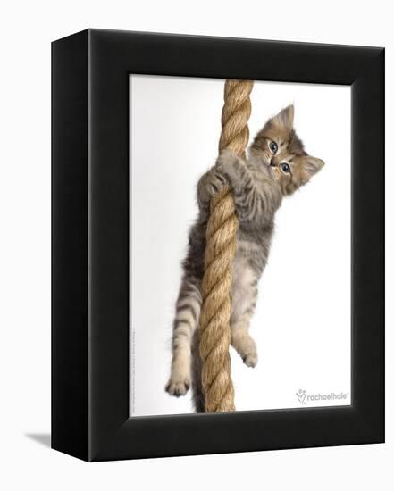 Eric-Rachael Hale-Framed Premier Image Canvas