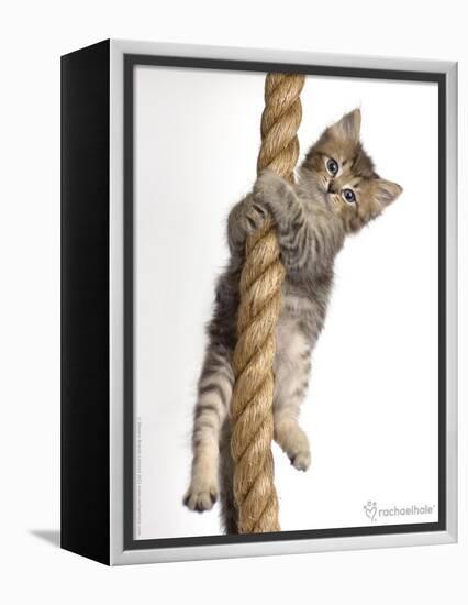 Eric-Rachael Hale-Framed Premier Image Canvas