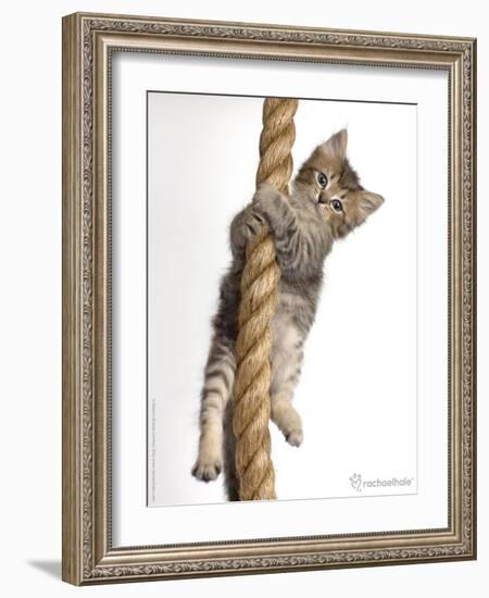 Eric-Rachael Hale-Framed Photographic Print