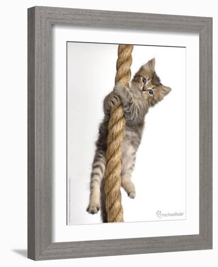 Eric-Rachael Hale-Framed Photographic Print