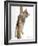 Eric-Rachael Hale-Framed Photographic Print