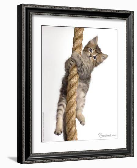 Eric-Rachael Hale-Framed Photographic Print