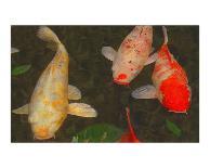 Colorful Garden Koi-erichan-Framed Giclee Print