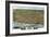 Erie, Pennsylvania - Panoramic Map-Lantern Press-Framed Art Print