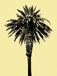 Palm Trees 2000 (Yellow)-Erik Asla-Loft Art