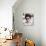 Erik Estrada - CHiPs-null-Photo displayed on a wall