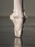 Ballet pas de deux-Erik Isakson-Photographic Print