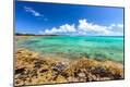 Photographic Print