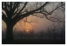 Adirondack Field-Erik Richards-Framed Art Print