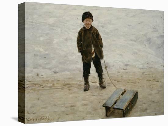 Stretched Canvas Print, , large