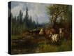 Stretched Canvas Print