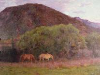 Summer Evening at Kviteseid, 1893 (Oil on Canvas)-Erik Theodor Werenskiold-Giclee Print