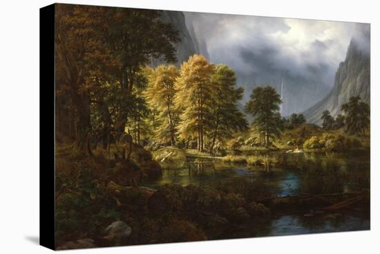 Stretched Canvas Print, , large