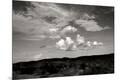 Photographic Print