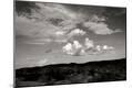 Photographic Print