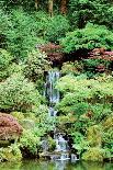 Japanese Garden-Erin Berzel-Photographic Print