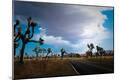 Photographic Print