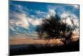 Photographic Print