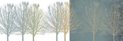 Tranquil Trees-Erin Clark-Giclee Print