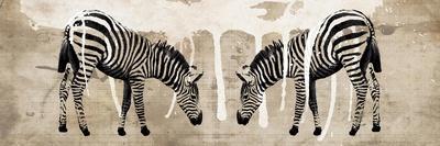 Two Zebras-Erin Clark-Giclee Print