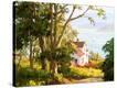 Stretched Canvas Print