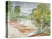 Stretched Canvas Print