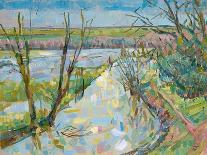 The Flooded Cherwell from Rousham I-Erin Townsend-Giclee Print