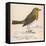 Erithacus Rubecula-Reverend Francis O. Morris-Framed Stretched Canvas