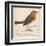 Erithacus Rubecula-Reverend Francis O. Morris-Framed Art Print