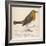 Erithacus Rubecula-Reverend Francis O. Morris-Framed Art Print