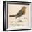 Erithacus Rubecula-Reverend Francis O. Morris-Framed Art Print