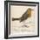 Erithacus Rubecula-Reverend Francis O. Morris-Framed Art Print