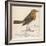 Erithacus Rubecula-Reverend Francis O. Morris-Framed Art Print