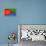 Eritrea Flag Design with Wood Patterning - Flags of the World Series-Philippe Hugonnard-Framed Stretched Canvas displayed on a wall