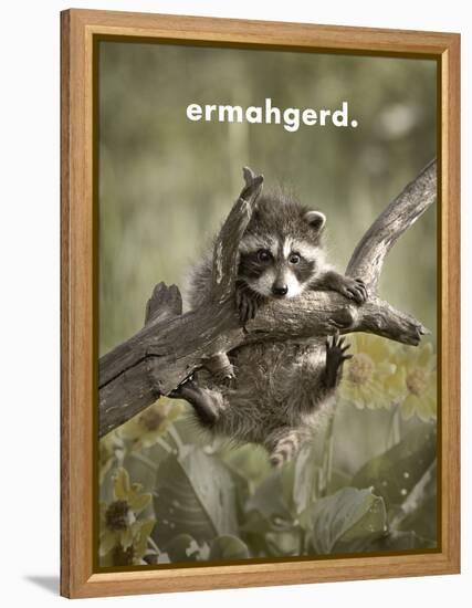 ERMAHGERD-James Hager-Framed Stretched Canvas