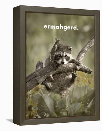 ERMAHGERD-James Hager-Framed Stretched Canvas