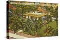 Stretched Canvas Print