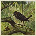 Blackbird and Snail-Ernest Henry Griset-Giclee Print
