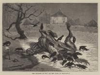 Blackbird and Snail-Ernest Henry Griset-Giclee Print