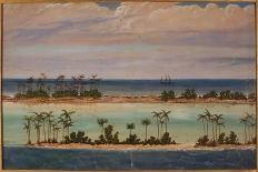 Triptych of an Atoll, 1871-Ernest Henry Griset-Giclee Print