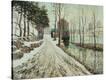Stretched Canvas Print