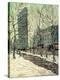 Stretched Canvas Print