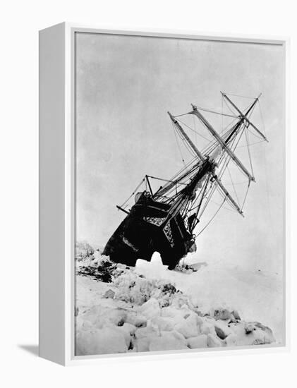 Ernest Shackleton's Expedition Ship Endurance Trapped in Ice-null-Framed Premier Image Canvas