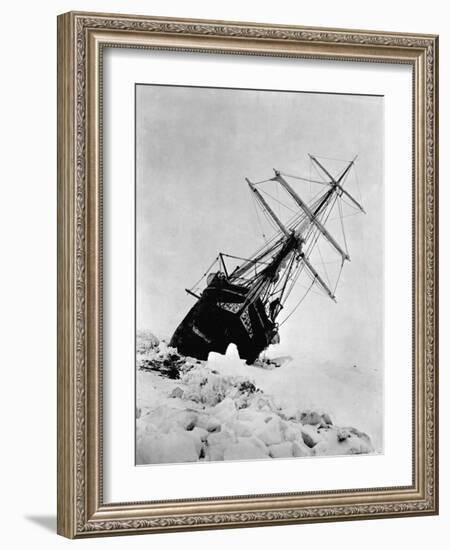 Ernest Shackleton's Expedition Ship Endurance Trapped in Ice-null-Framed Photographic Print