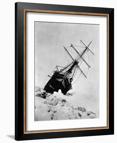 Ernest Shackleton's Expedition Ship Endurance Trapped in Ice-null-Framed Photographic Print