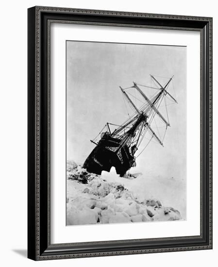 Ernest Shackleton's Expedition Ship Endurance Trapped in Ice-null-Framed Photographic Print