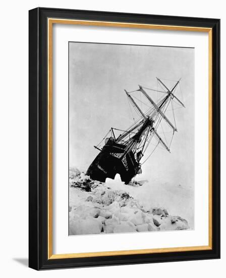 Ernest Shackleton's Expedition Ship Endurance Trapped in Ice-null-Framed Photographic Print